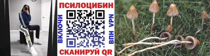 Галлюциногенные грибы мицелий  наркотики  Белая Калитва 